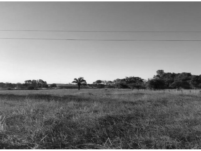 Imagem 4 do Leilão de Chácara - Zona Rural - São José dos Quatro Marcos/MT