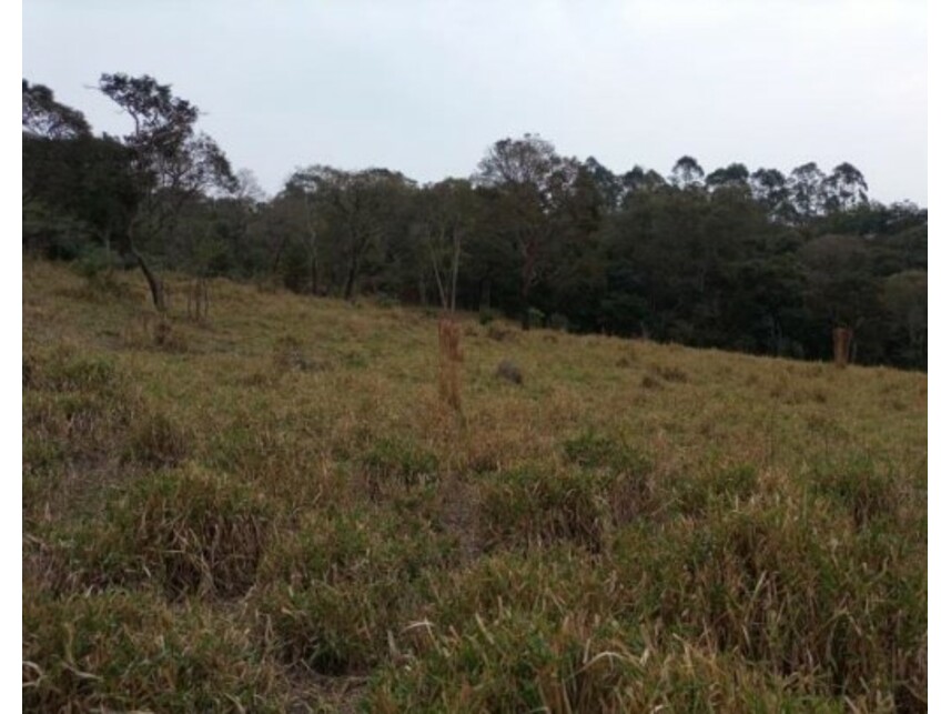 Imagem 28 do Leilão de Área Rural - Olho Dágua - Mairiporã/SP