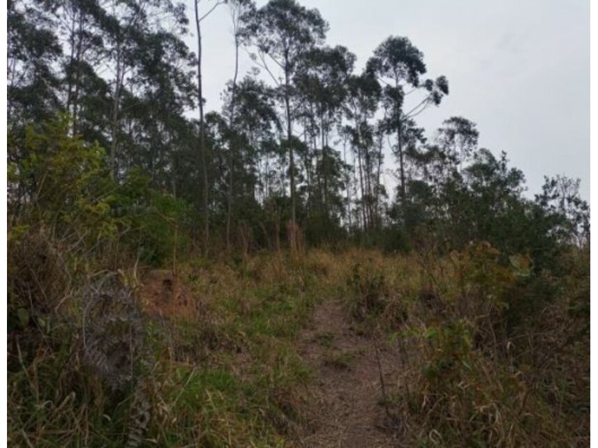 Imagem 31 do Leilão de Área Rural - Olho Dágua - Mairiporã/SP