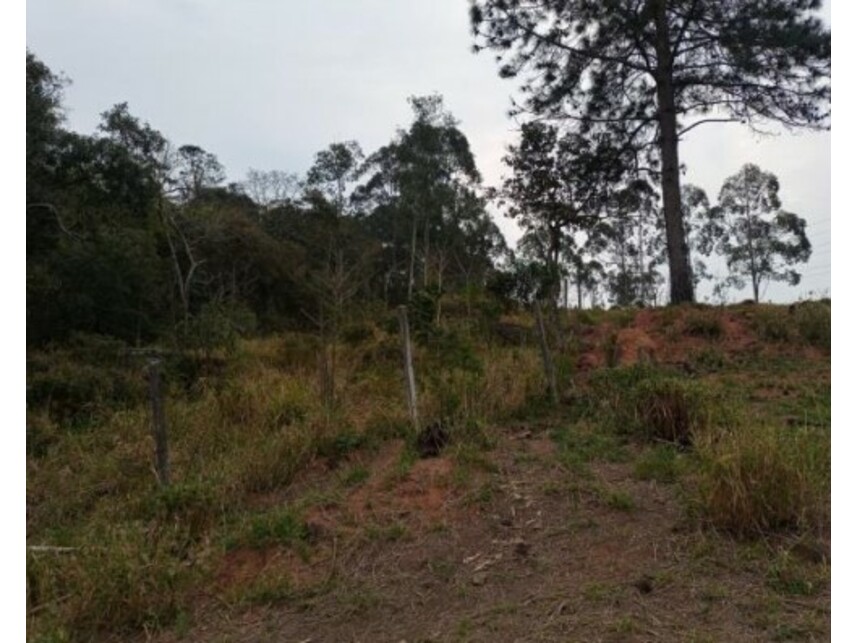 Imagem 18 do Leilão de Área Rural - Olho Dágua - Mairiporã/SP