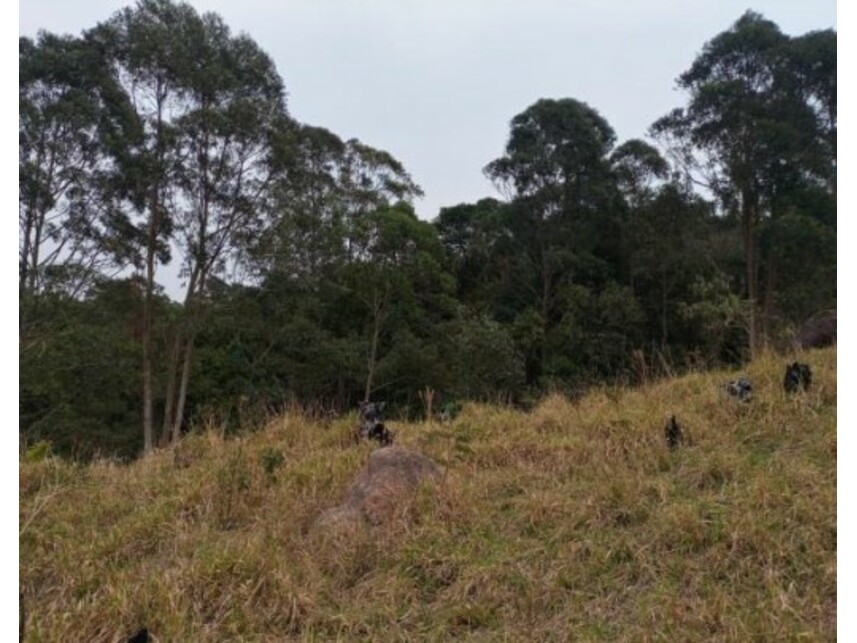 Imagem 26 do Leilão de Área Rural - Olho Dágua - Mairiporã/SP