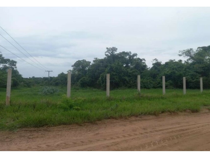 Imagem 4 do Leilão de Fazenda - Zona Rural - Itirapina/SP