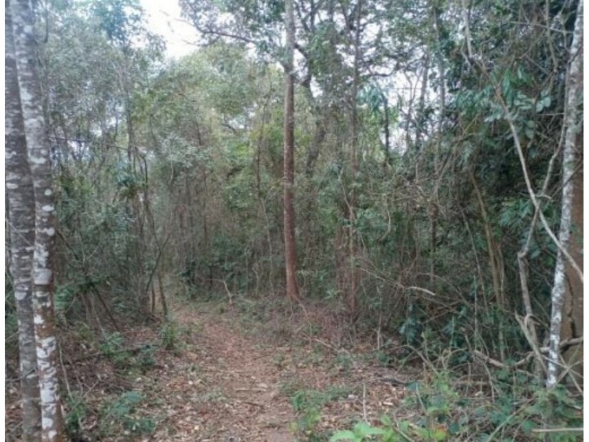 Imagem 14 do Leilão de Área Rural - Olho Dágua - Mairiporã/SP