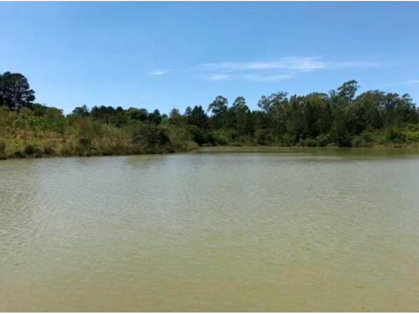 Imagem 6 do Leilão de Terreno - Chácaras de Recreio Campos Elíseos - Pardinho/SP