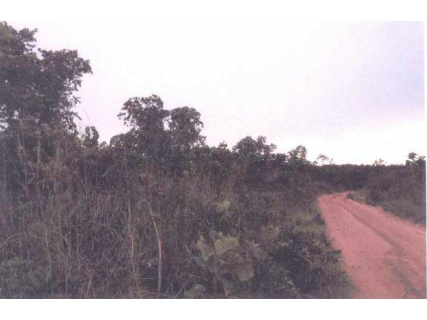 Imagem 2 do Leilão de Área Rural - Distrito Industrial - Alto Garças/MT