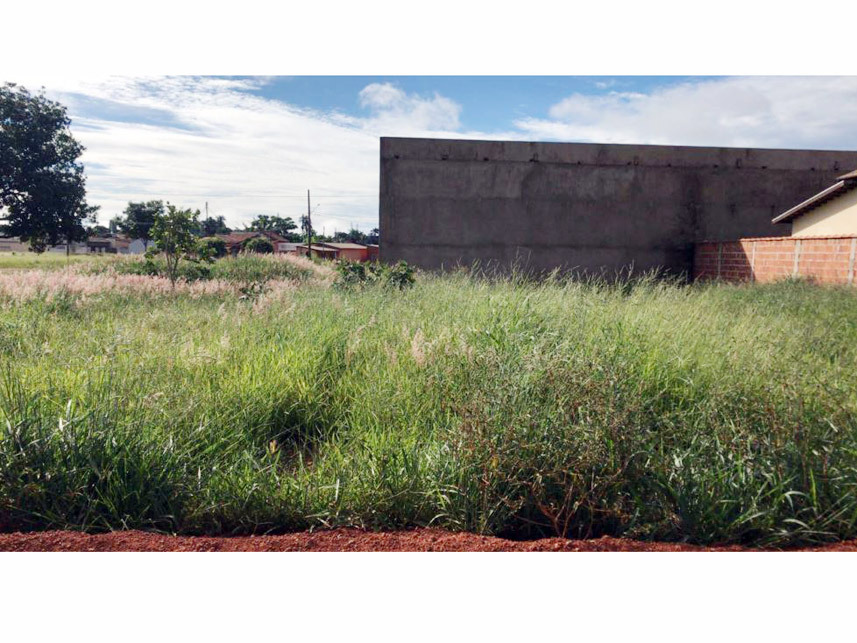 Imagem 1 do Leilão de Terreno - Residencial Santeiro - Alto Taquari/MT