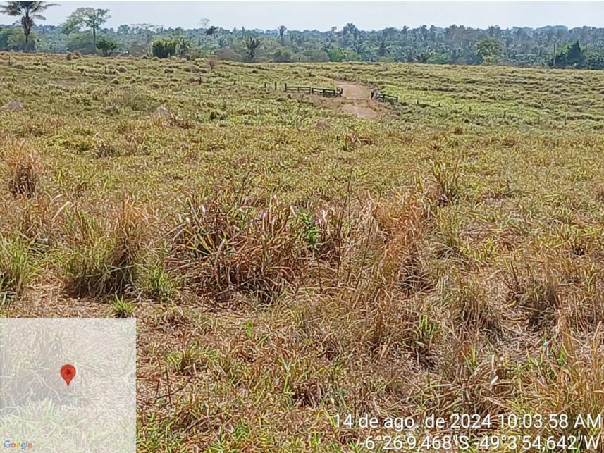 Imagem 2 do Leilão de Fazenda - Zona Rural - Piçarra/PA