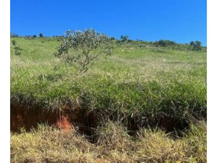 Imagem 4 do Leilão de Terreno - Residencial Glória - Itamonte/MG