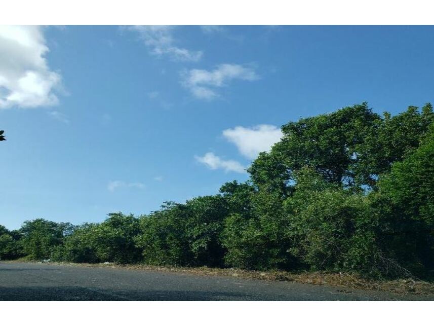 Imagem 1 do Leilão de Terreno - Paralela - Salvador/BA