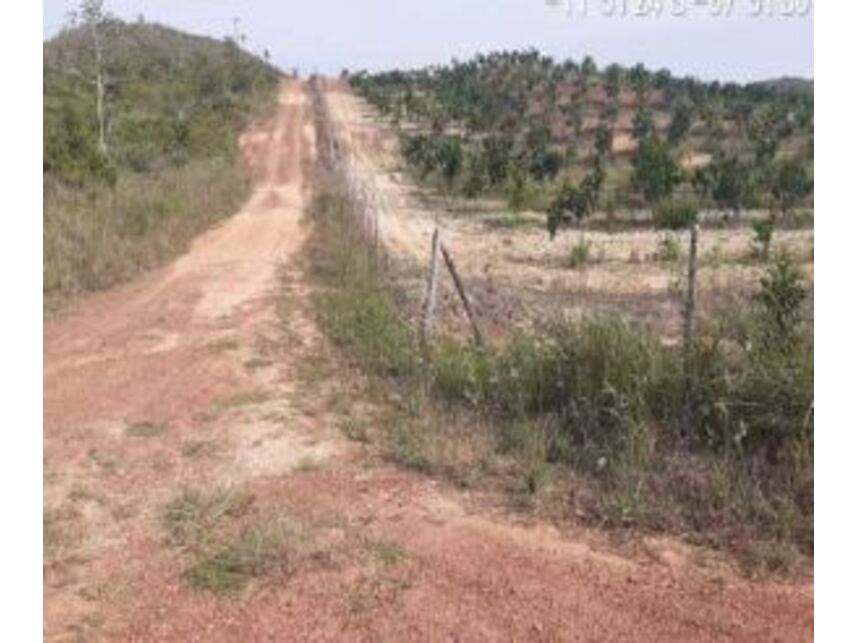 Imagem 4 do Leilão de Área Rural - Zona Rural - Esplanada/BA