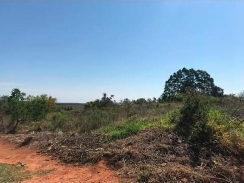 Imagem 5 do Leilão de Terreno - Chácaras de Recreio Campos Elíseos II - Pardinho/SP