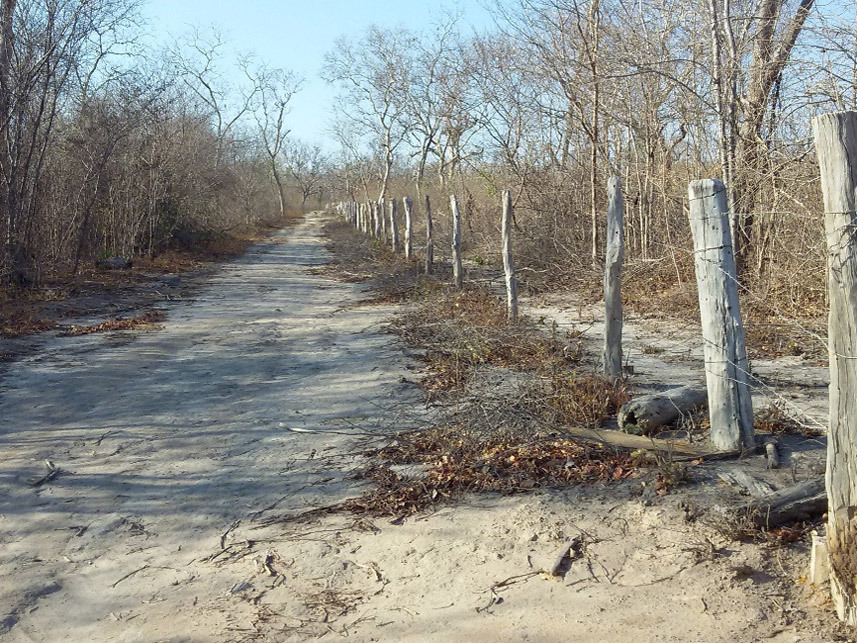 Imagem 4 do Leilão de Área Rural - Periperi - Formosa do Rio Preto/BA