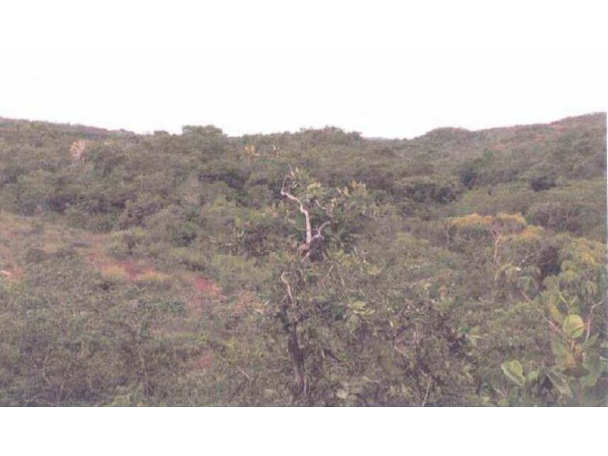 Imagem 4 do Leilão de Área Rural - Distrito Industrial - Alto Garças/MT