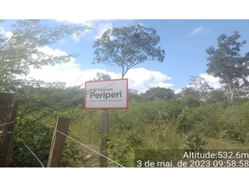 Imagem 3 do Leilão de Área Rural - Periperi - Formosa do Rio Preto/BA