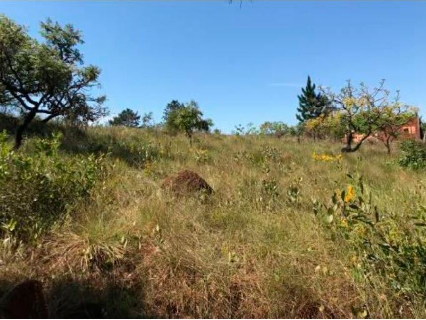 Imagem 2 do Leilão de Terreno - Chácaras de Recreio Campos Elíseos II - Pardinho/SP