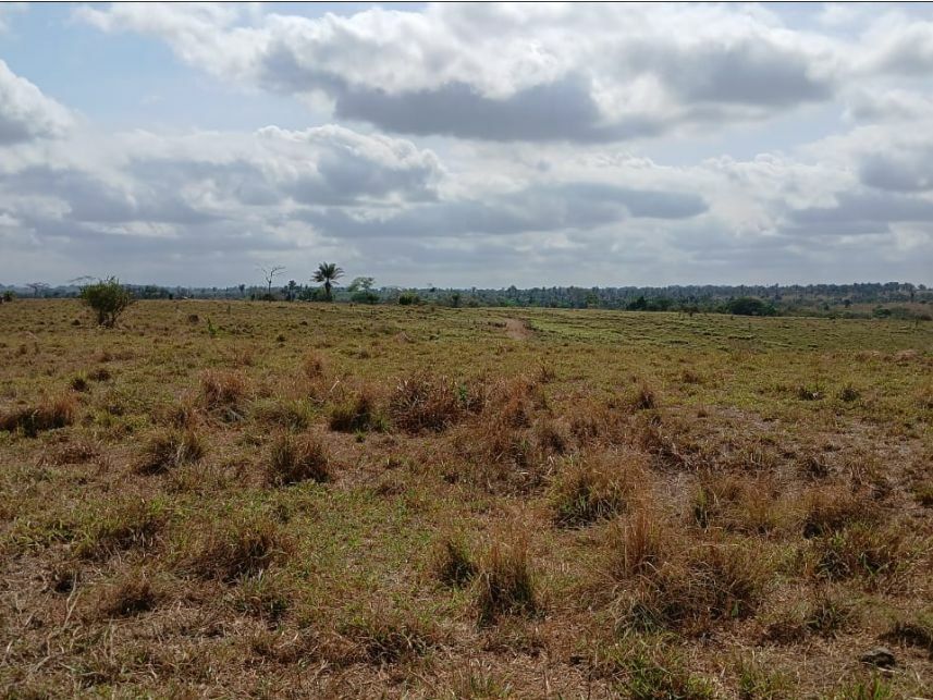 Imagem 1 do Leilão de Fazenda - Zona Rural - Piçarra/PA