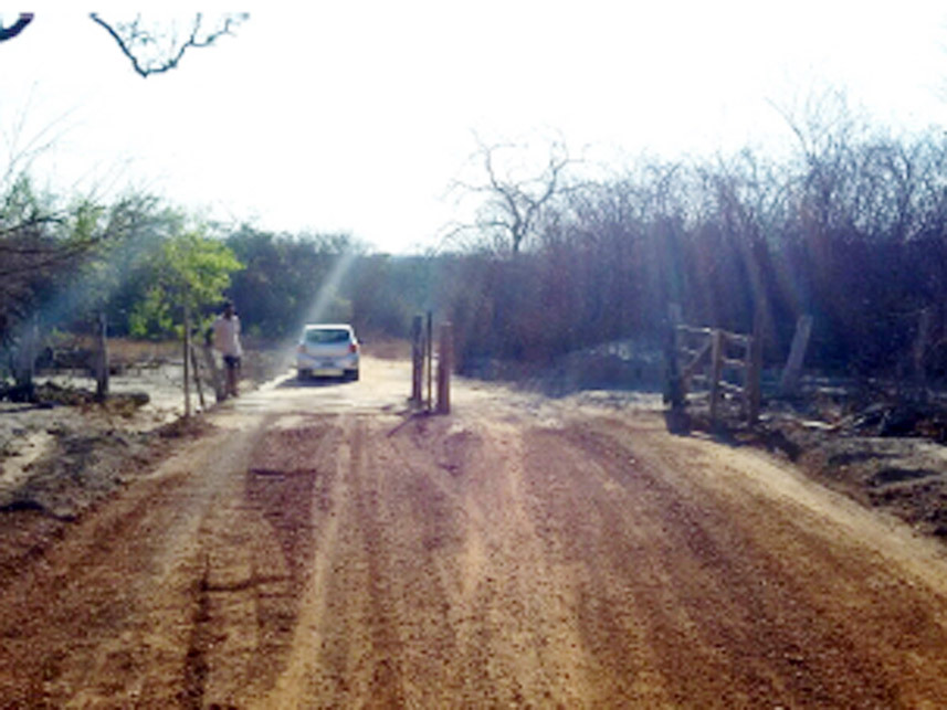 Imagem 5 do Leilão de Área Rural - Periperi - Formosa do Rio Preto/BA