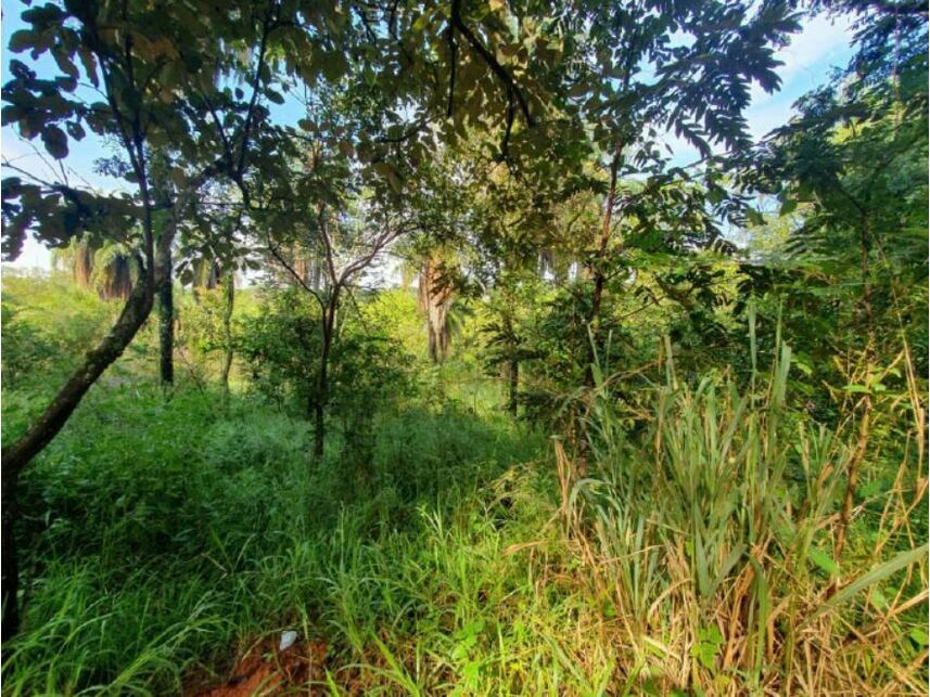 Imagem 6 do Leilão de Terreno - Braúnas - Belo Horizonte/MG