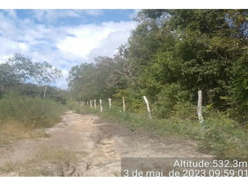 Imagem 2 do Leilão de Área Rural - Periperi - Formosa do Rio Preto/BA