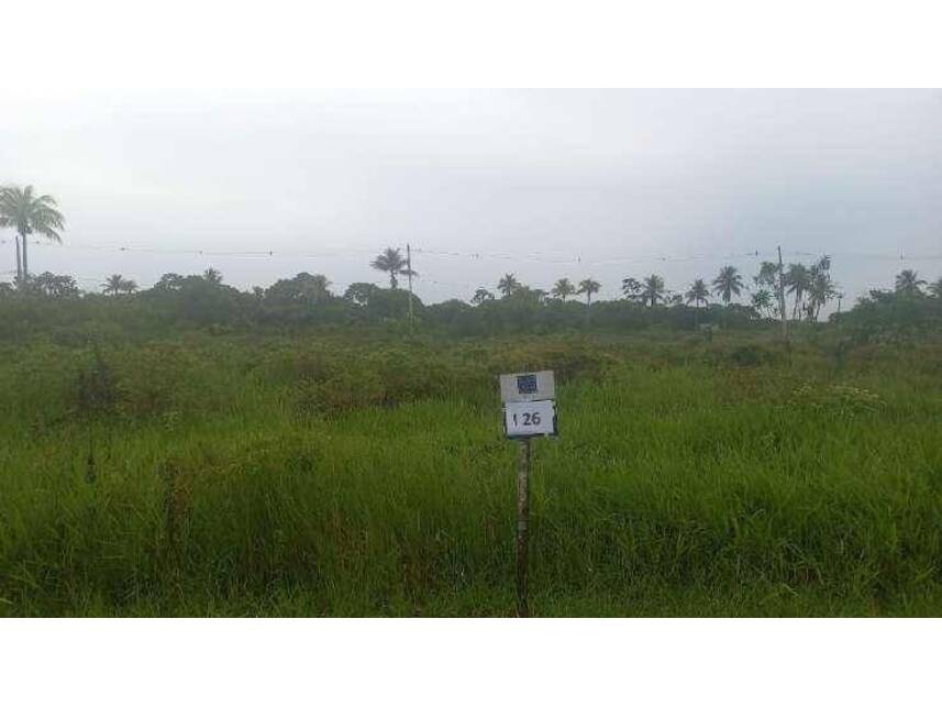 Imagem 9 do Leilão de Terreno - Distrito de Boa União - Alagoinhas/BA