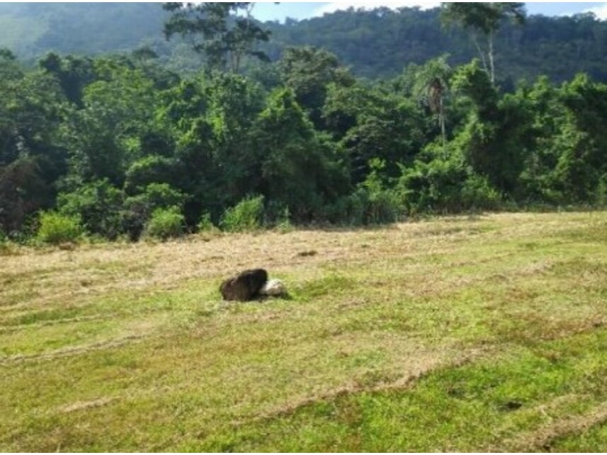 Imagem 16 do Leilão de Terreno - Pilar - Maricá/RJ