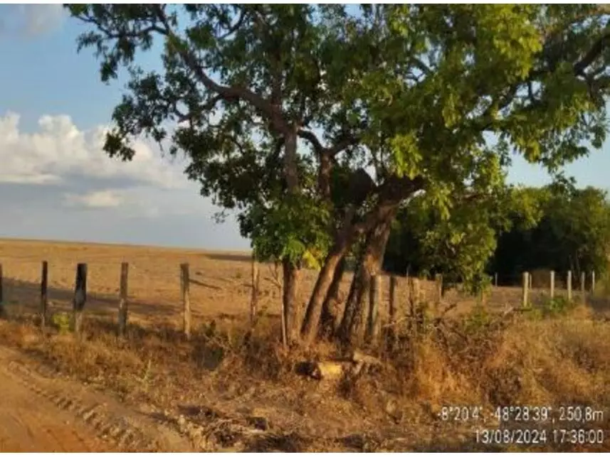 Imagem 6 do Leilão de Gleba de Terras - Zona Rural - Brasilândia do Tocantins/TO