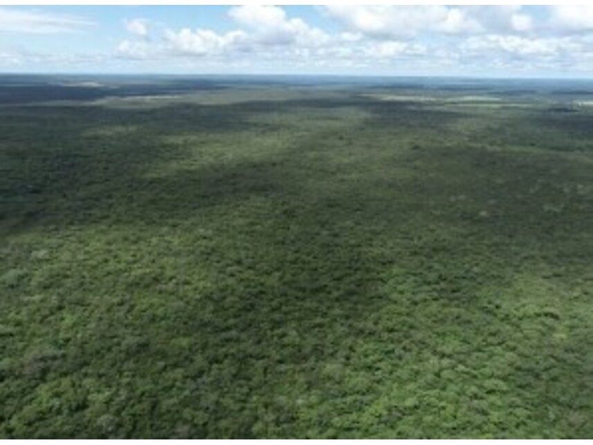 Imagem 8 do Leilão de Área Rural - Periperi - Formosa do Rio Preto/BA