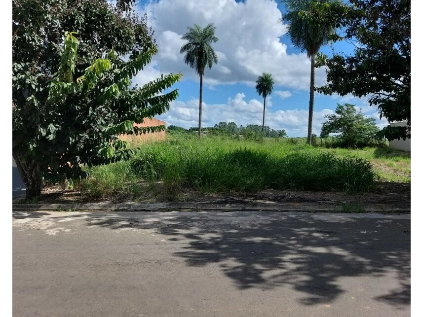 Imagem  do Leilão de Terreno - Loteamento Residencial Flávia - Penápolis/SP