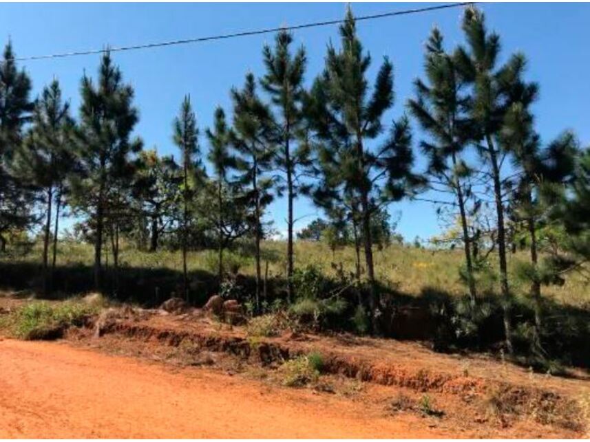 Imagem 1 do Leilão de Terreno - Chácaras de Recreio Campos Elíseos II - Pardinho/SP