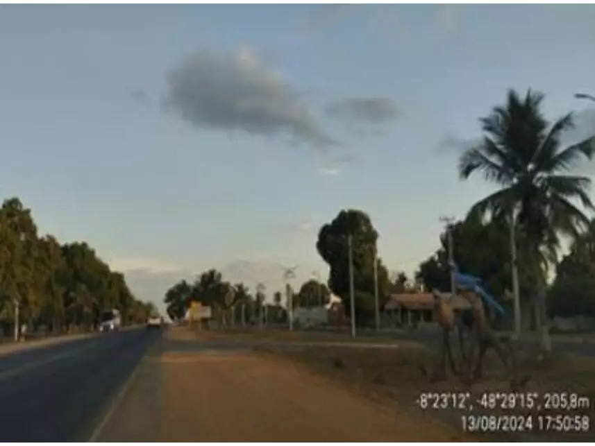Imagem 3 do Leilão de Gleba de Terras - Zona Rural - Brasilândia do Tocantins/TO