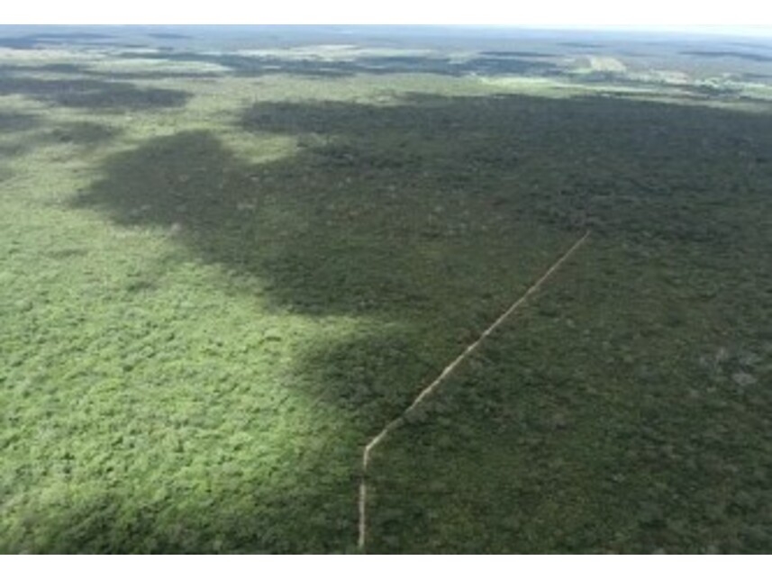 Imagem 6 do Leilão de Área Rural - Periperi - Formosa do Rio Preto/BA