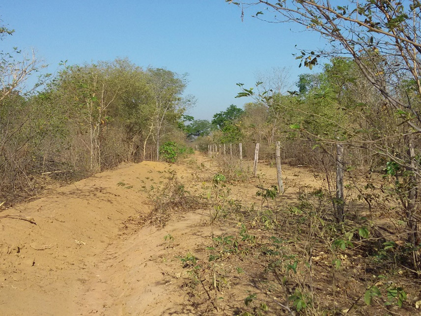 Imagem 2 do Leilão de Área Rural - Periperi - Formosa do Rio Preto/BA