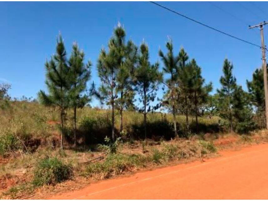 Imagem 4 do Leilão de Terreno - Chácaras de Recreio Campos Elíseos II - Pardinho/SP