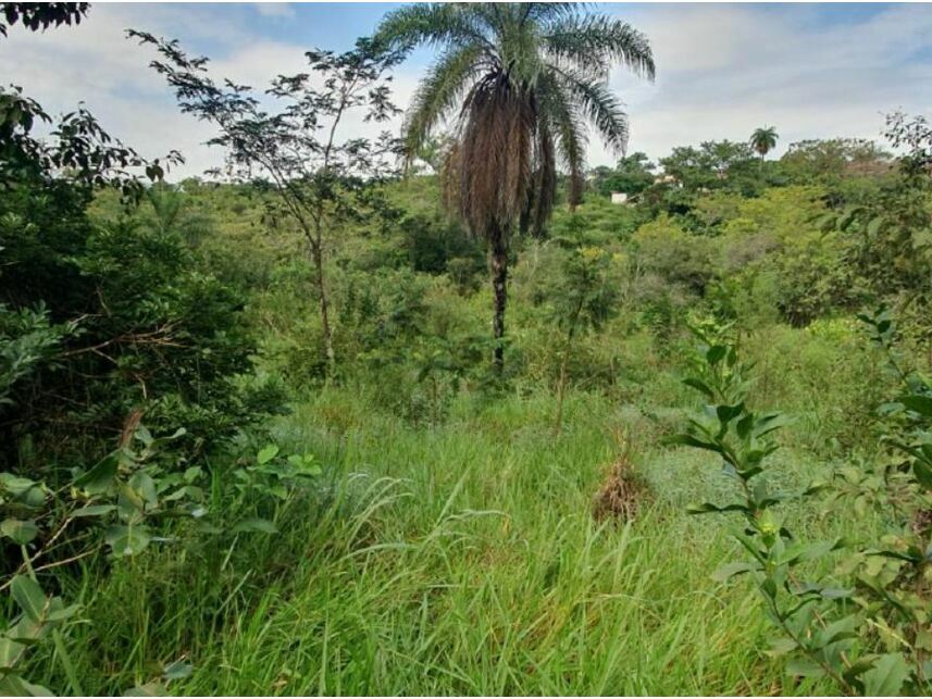 Imagem 5 do Leilão de Terreno - Braúnas - Belo Horizonte/MG