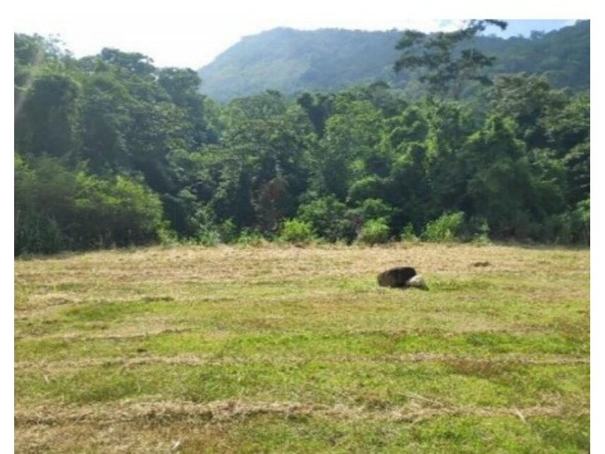 Imagem 13 do Leilão de Terreno - Pilar - Maricá/RJ