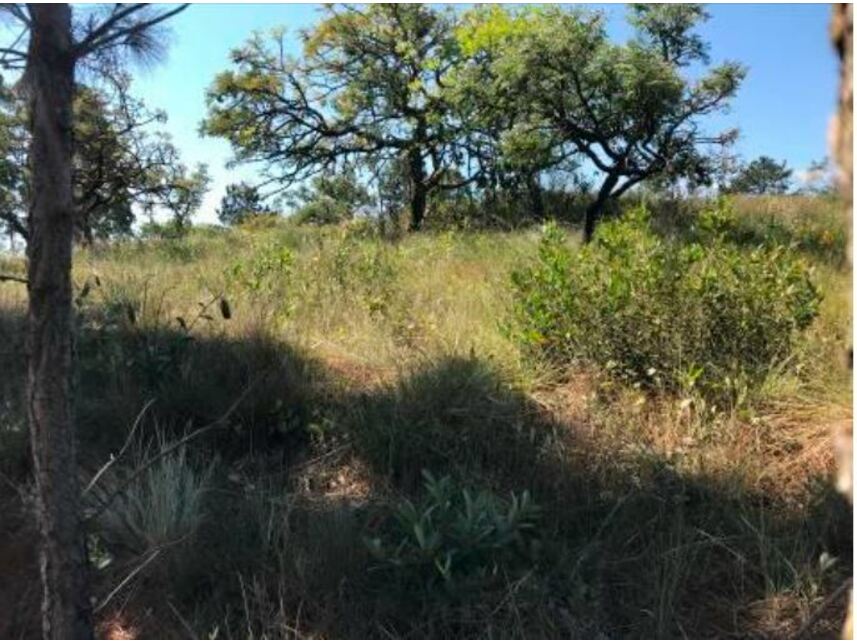 Imagem 3 do Leilão de Terreno - Chácaras de Recreio Campos Elíseos II - Pardinho/SP