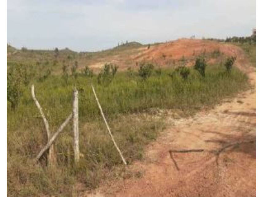 Imagem 3 do Leilão de Área Rural - Zona Rural - Esplanada/BA