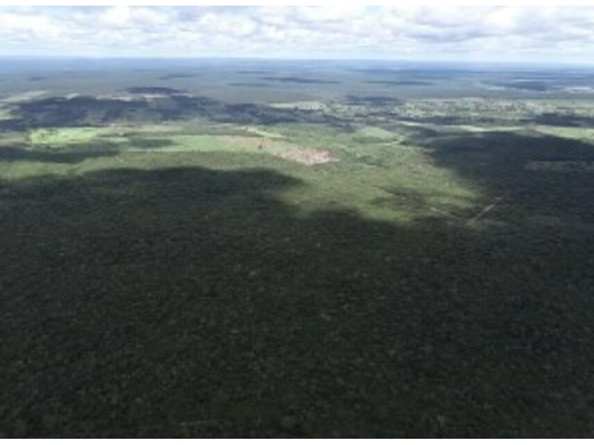 Imagem 7 do Leilão de Área Rural - Periperi - Formosa do Rio Preto/BA