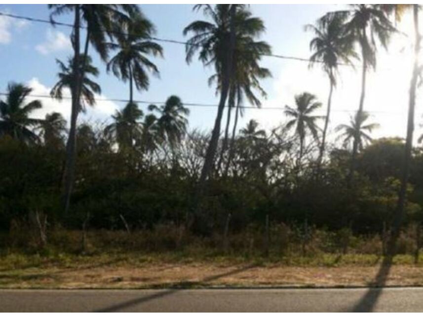 Imagem 3 do Leilão de Terreno - Vila de Tabatinga - Nísia Floresta/RN