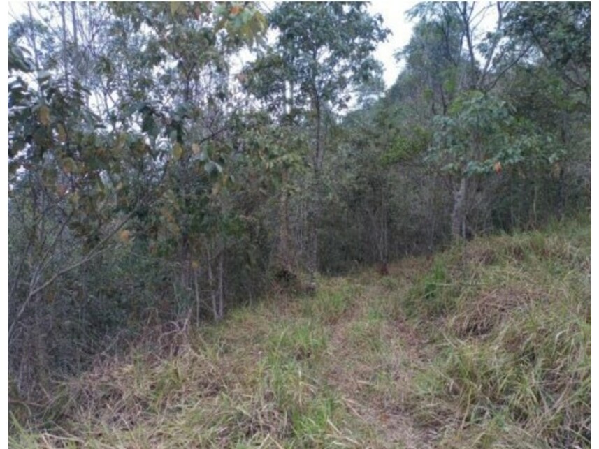 Imagem 12 do Leilão de Terreno - Olho Dágua - Mairiporã/SP