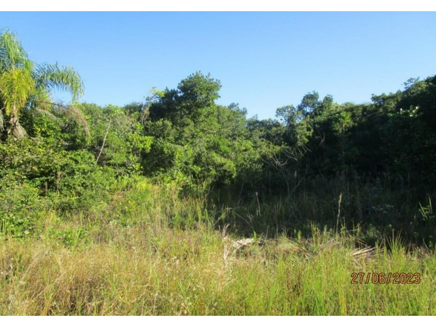 Imagem 5 do Leilão de Terreno - Balneário Vila Nova - Ilha Comprida/SP