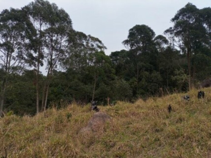 Imagem 20 do Leilão de Terreno - Olho Dágua - Mairiporã/SP