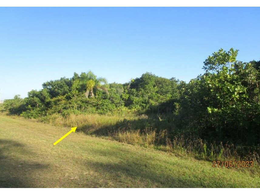 Imagem 2 do Leilão de Terreno - Balneário Vila Nova - Ilha Comprida/SP