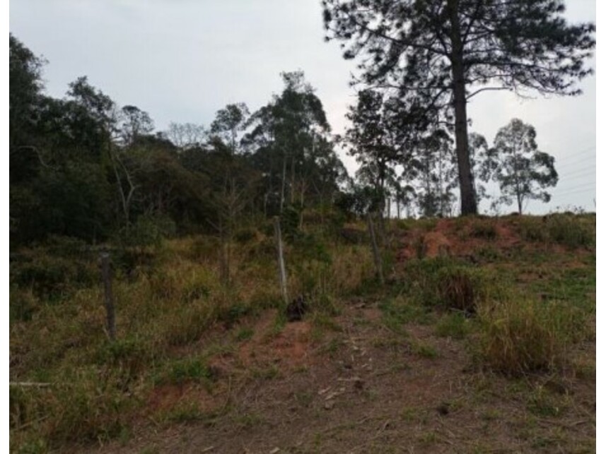 Imagem 13 do Leilão de Terreno - Olho Dágua - Mairiporã/SP