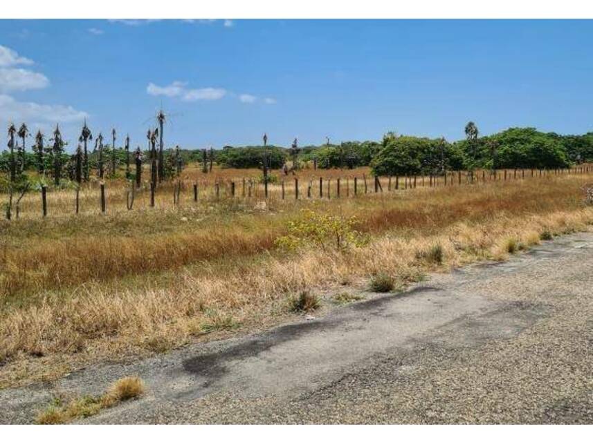 Imagem 1 do Leilão de Área Rural - Centro - Caucaia/CE