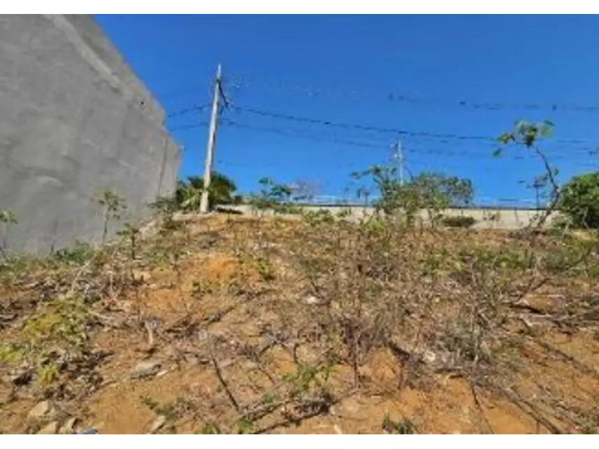 Imagem 3 do Leilão de Terreno - Chácara Doutor Brum - Muriaé/MG