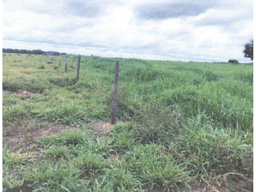 Imagem 3 do Leilão de Fazenda - Zona Rural - Rondon do Pará/PA