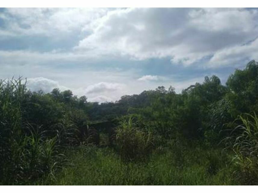 Imagem 6 do Leilão de Terreno - Moinho Velho - Cotia/SP