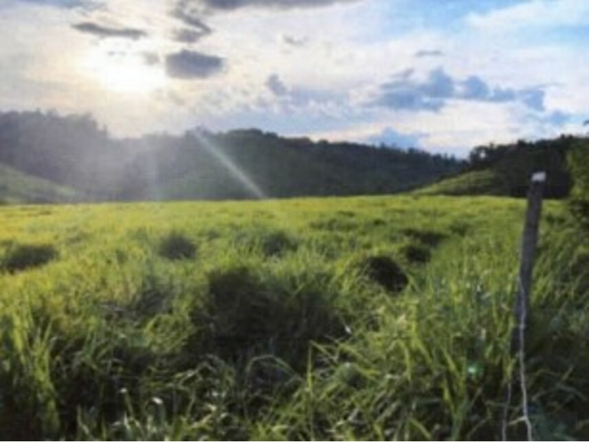 Imagem 5 do Leilão de Fazenda - Zona Rural - Rondon do Pará/PA