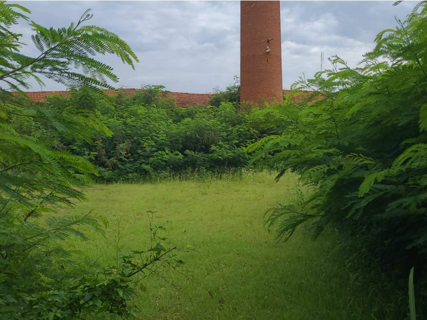 Imagem 2 do Leilão de Complexo Industrial - Jardim Manoel Meirelles Alves Ind - Tambaú/SP